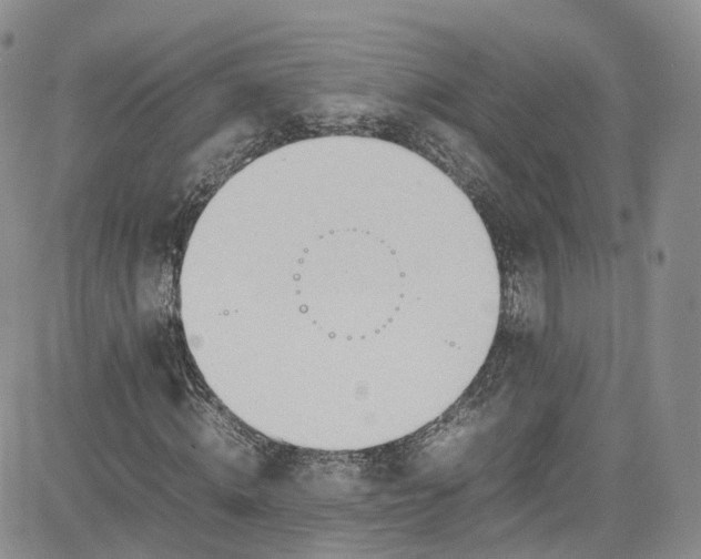 X0000080780820200701021145