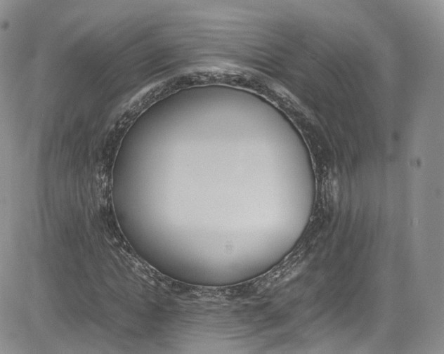 X0000080780822200701021145