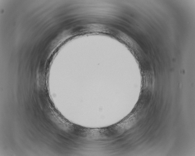 X0000080780828200701021145