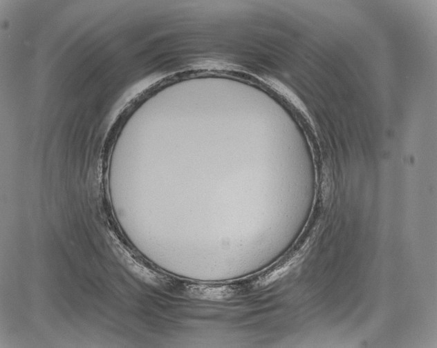 X0000080780831200701021145