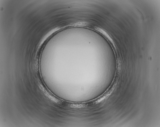 X0000080780835200701021145
