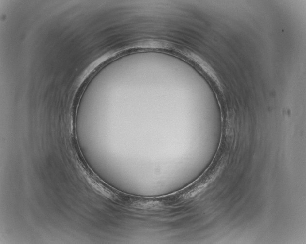 X0000080780837200701021145