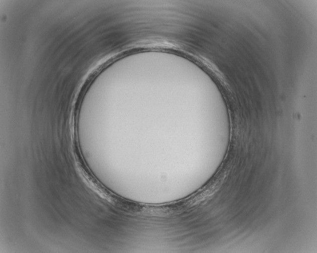 X0000080780840200701021145