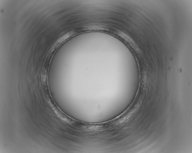 X0000080780841200701021145