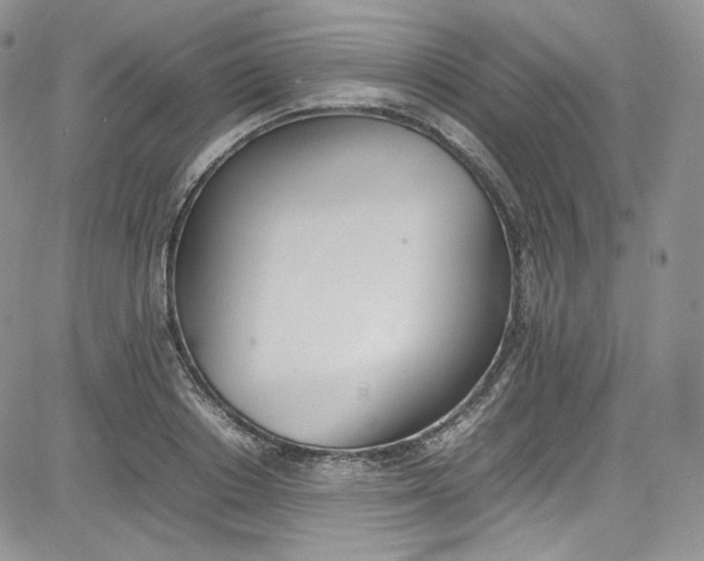 X0000080780842200701021145