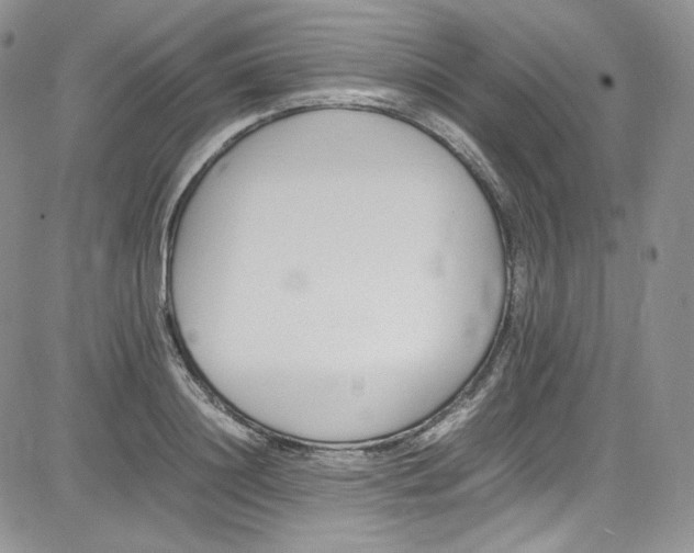 X0000080780844200701021145