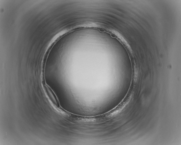 X0000080780845200701021145