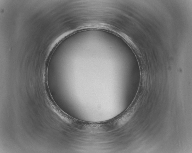 X0000080780846200701021145