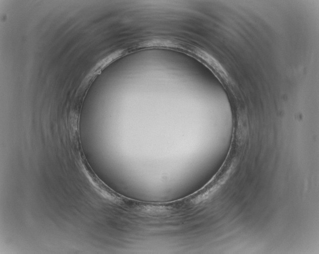 X0000080780849200701021145