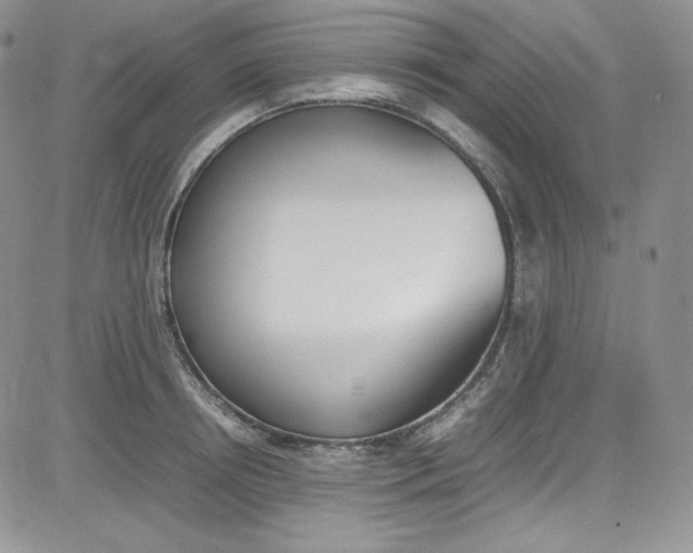 X0000080780850200701021145