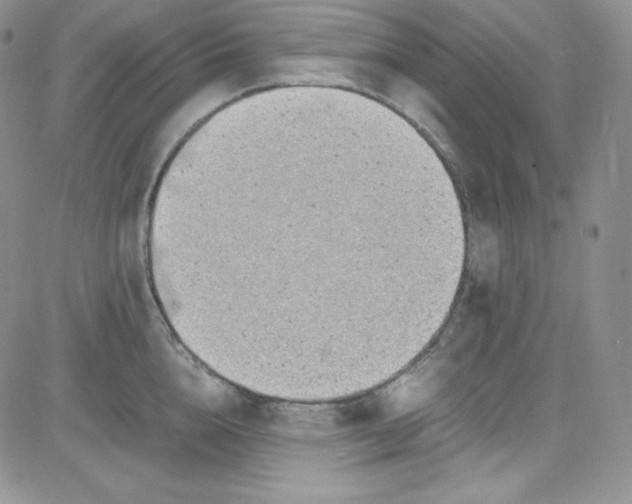 X0000080780856200701021145