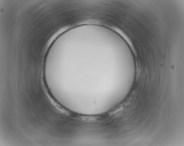 X0000080780861200701021145