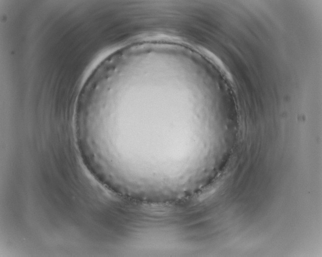 X0000080780863200701021145