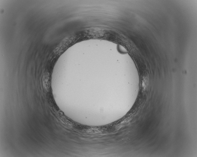 X0000080780867200701021145