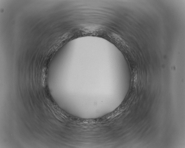 X0000080780868200701021145