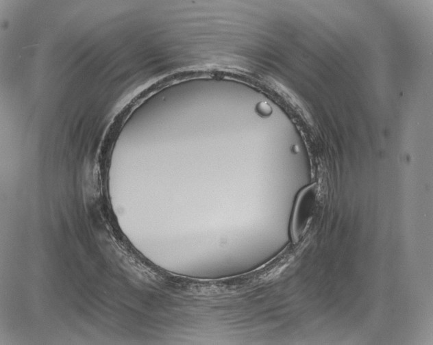 X0000080780876200701021145