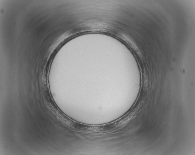 X0000080780883200701021144