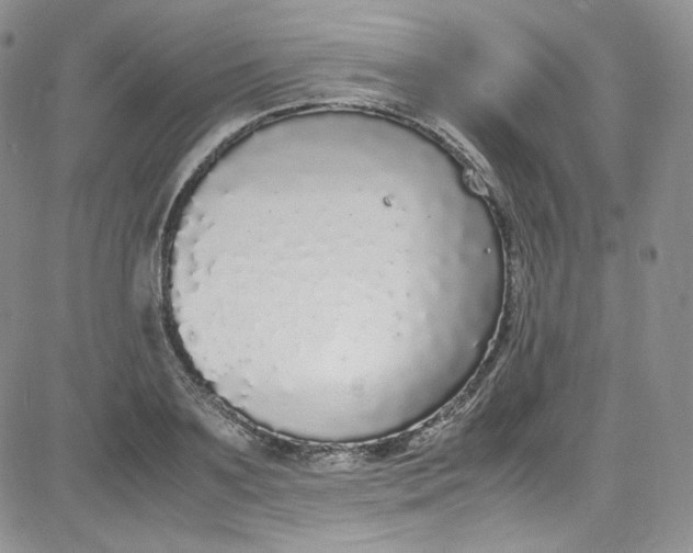 X0000080780891200701021144