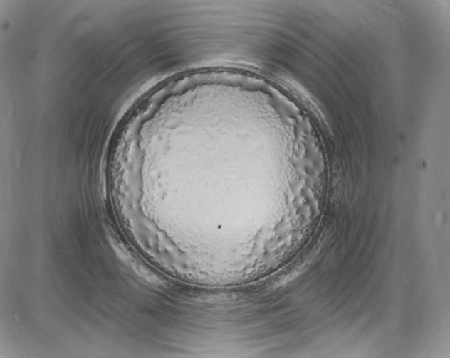 X0000080780892200701021144