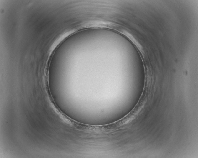 X0000080780901200701021144