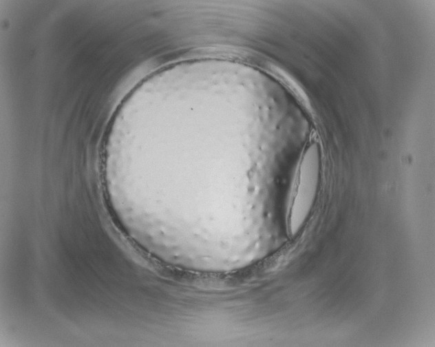 X0000080780907200701021144