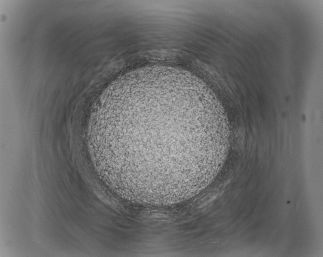 X0000080780913200701021143