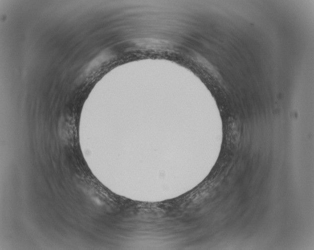 X0000080780918200701021143