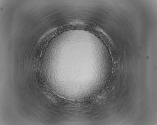 X0000080780919200701021143