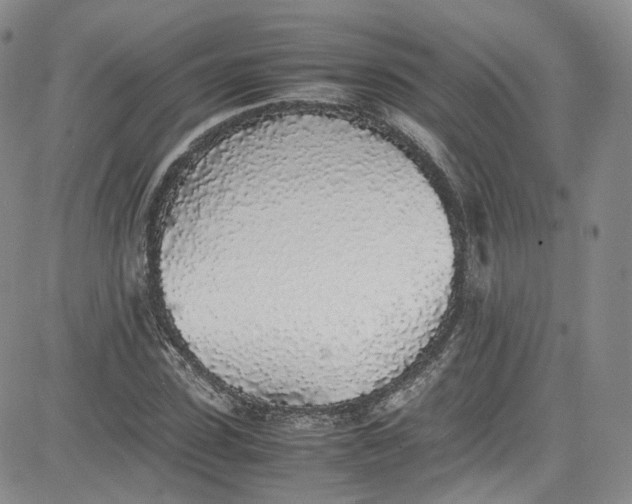X0000080780923200701021143