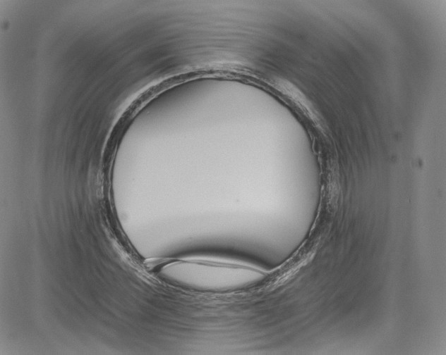 X0000080780924200701021143