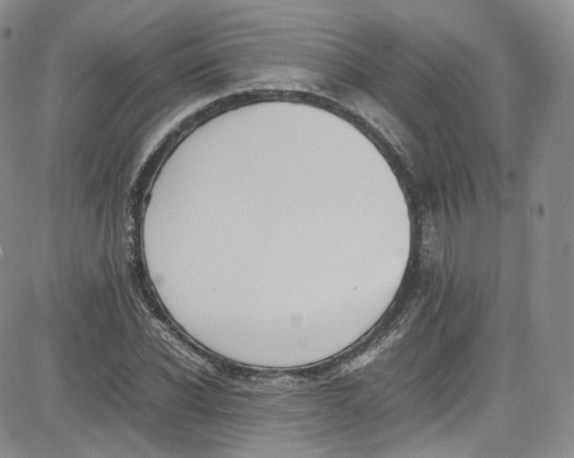 X0000080780926200701021143