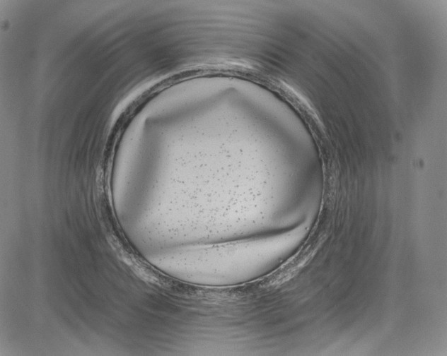 X0000080780928200701021143