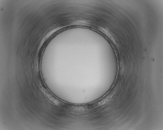 X0000080780931200701021143