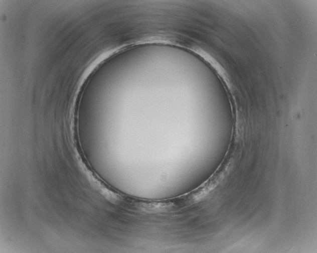 X0000080780949200701021144