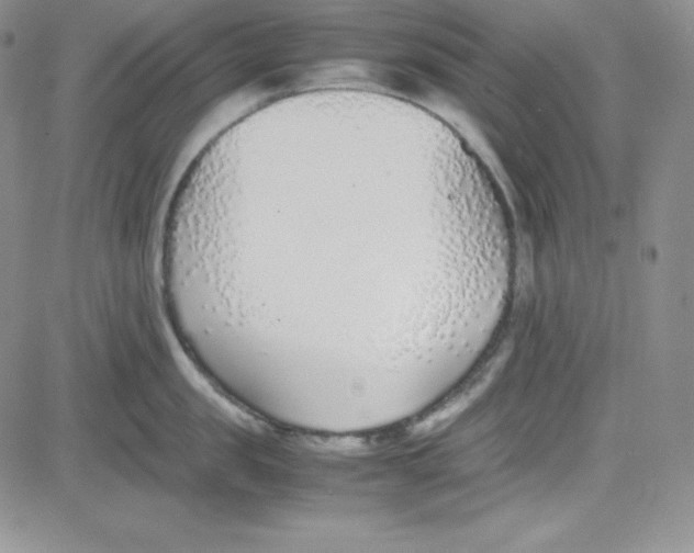 X0000080780957200701021144
