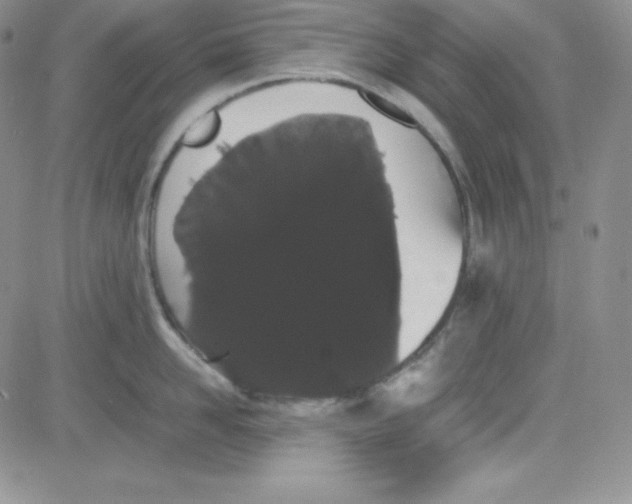 X0000080780958200701021144