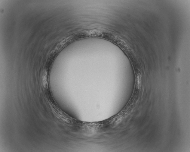 X0000080780963200701021143