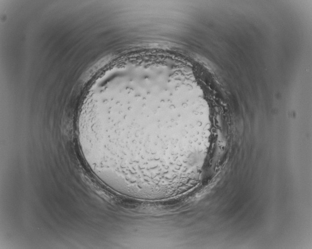 X0000080780977200701021143