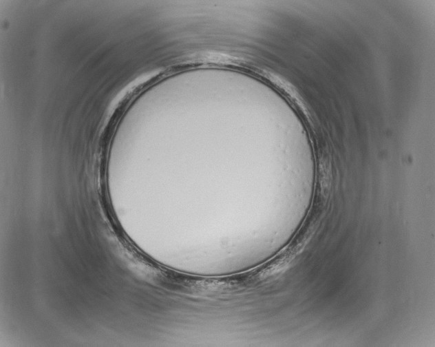 X0000080780987200701021143