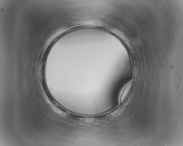 X0000080780991200701021143