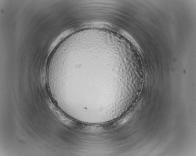 X0000080780994200701021143