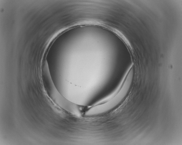 X0000080780996200701021143