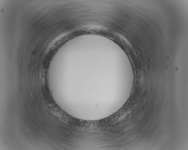 X0000080781016200701021142