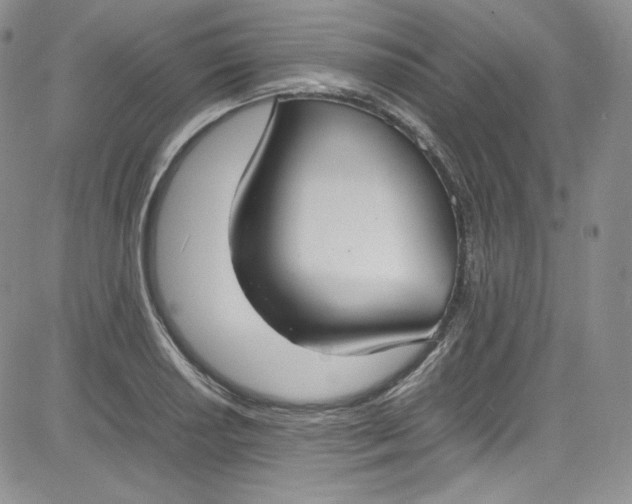 X0000080781034200701021142