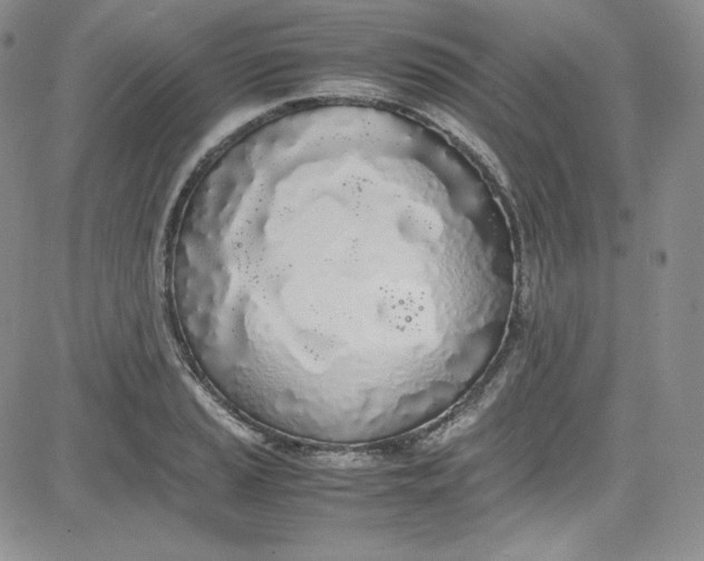 X0000080781037200701021142
