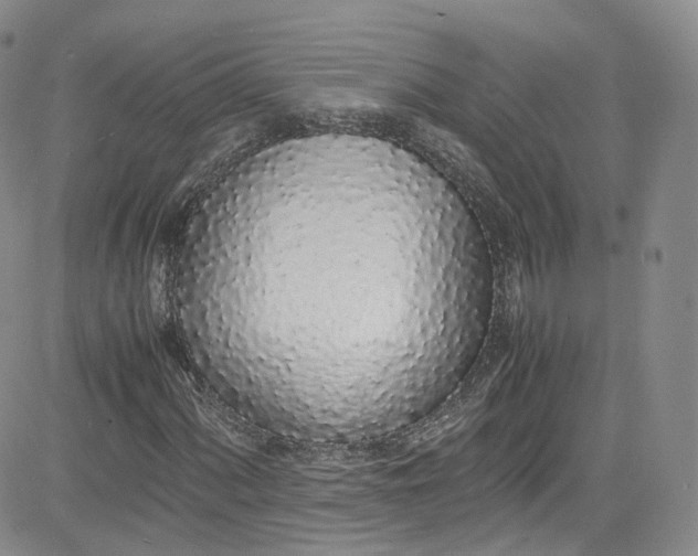 X0000080781060200701021142