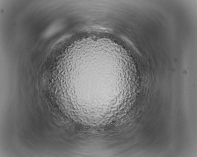 X0000080781063200701021141
