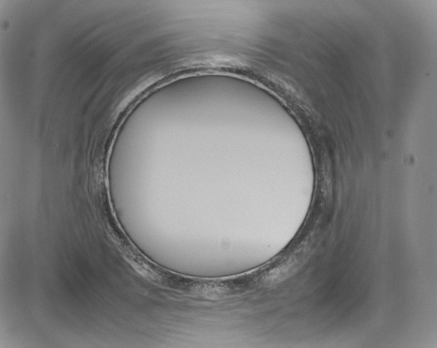 X0000080781073200701021141