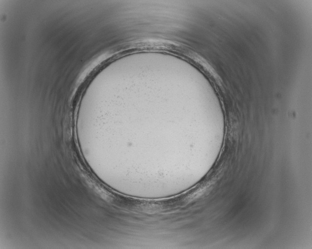 X0000080781075200701021141