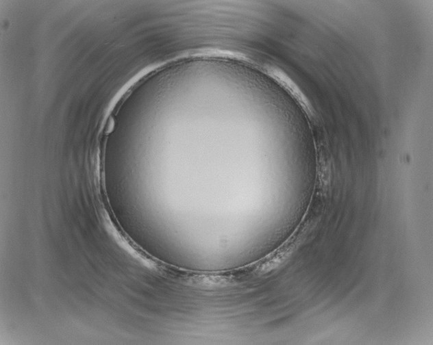X0000080781092200701021141